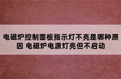 电磁炉控制面板指示灯不亮是哪种原因 电磁炉电源灯亮但不启动